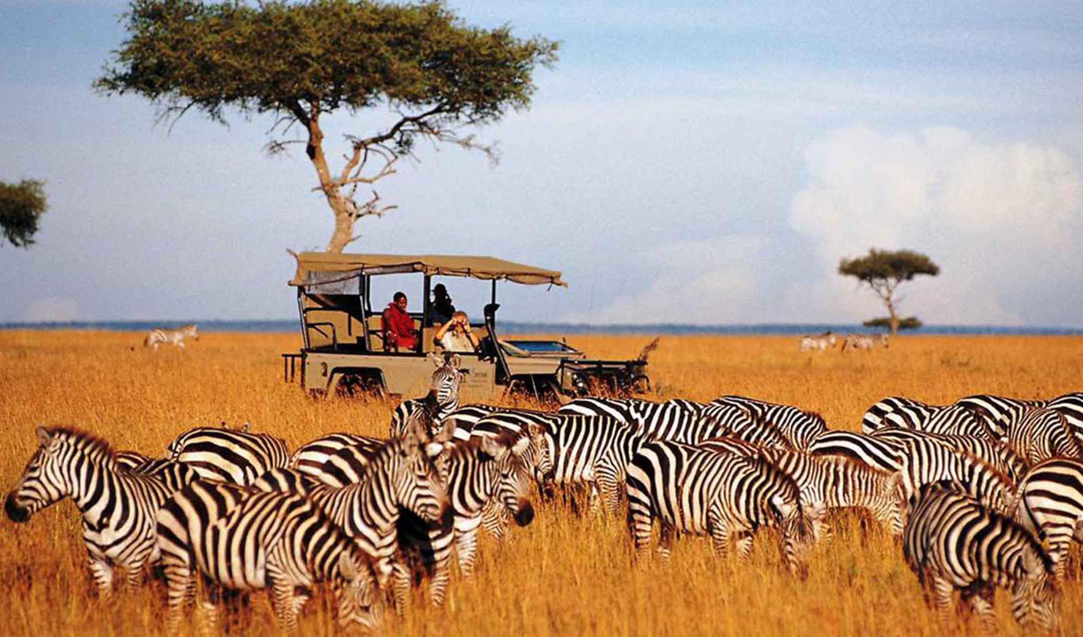 MMulti-Country Safari Experience